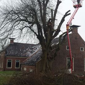 Een mooie natuurlijke tuin met Noorderwind