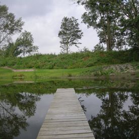 Laat uw tuin weer stralen met uw hovenier uit Groningen