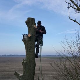 Een mooie natuurlijke tuin met Noorderwind