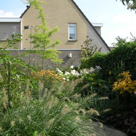 Laat uw tuin weer stralen met uw hovenier uit Groningen