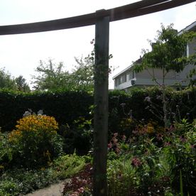 Laat uw tuin weer stralen met uw hovenier uit Groningen