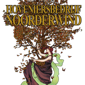 Hoveniersbedrijf Noorderwind blaast nieuw leven in uw tuin