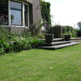 Een mooie natuurlijke tuin met Noorderwind