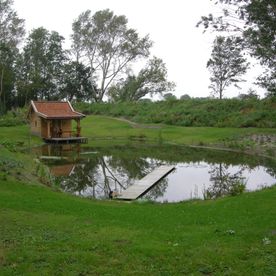Laat uw tuin weer stralen met uw hovenier uit Groningen
