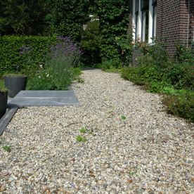 Een mooie strakke tuin met Noorderwind, uw hovenier uit Groningen