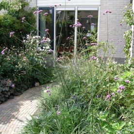 Een mooie natuurlijke tuin met Noorderwind